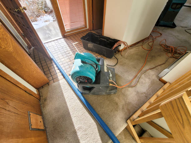 Best Sewage cleanup and water damage restoration  in St James, NC