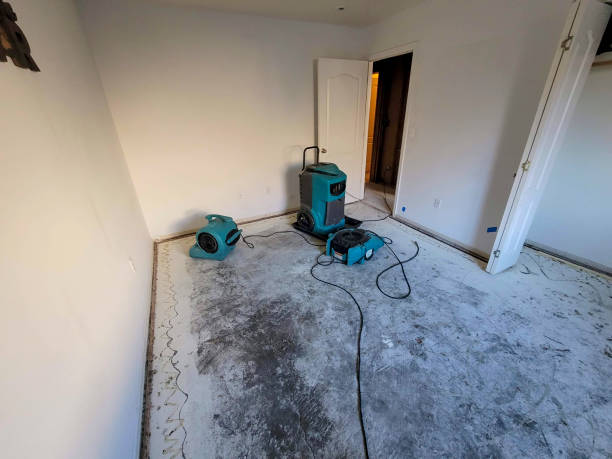 Best Carpet water damage restoration  in St James, NC