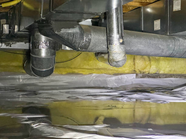 Best 24/7 water damage repair  in St James, NC