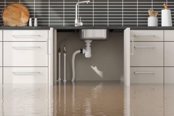 Best Water damage contractors near me  in St James, NC