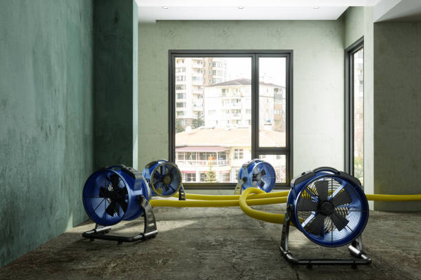 Best Local water damage restoration  in St James, NC